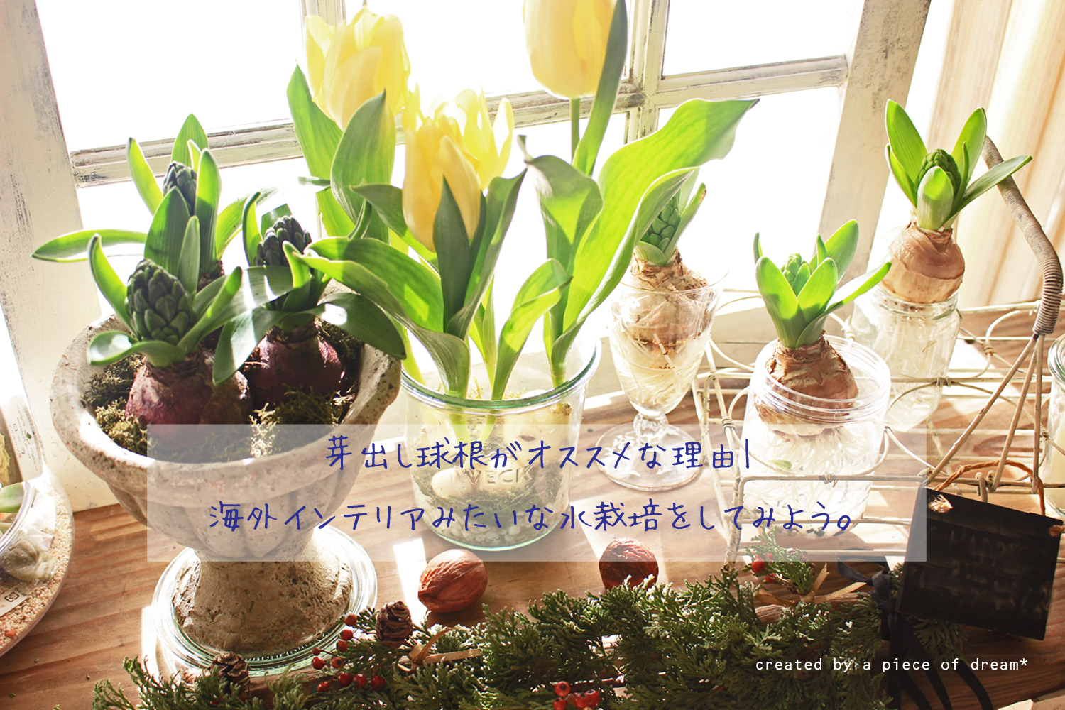 IMG_8771-2018-2022.jpg