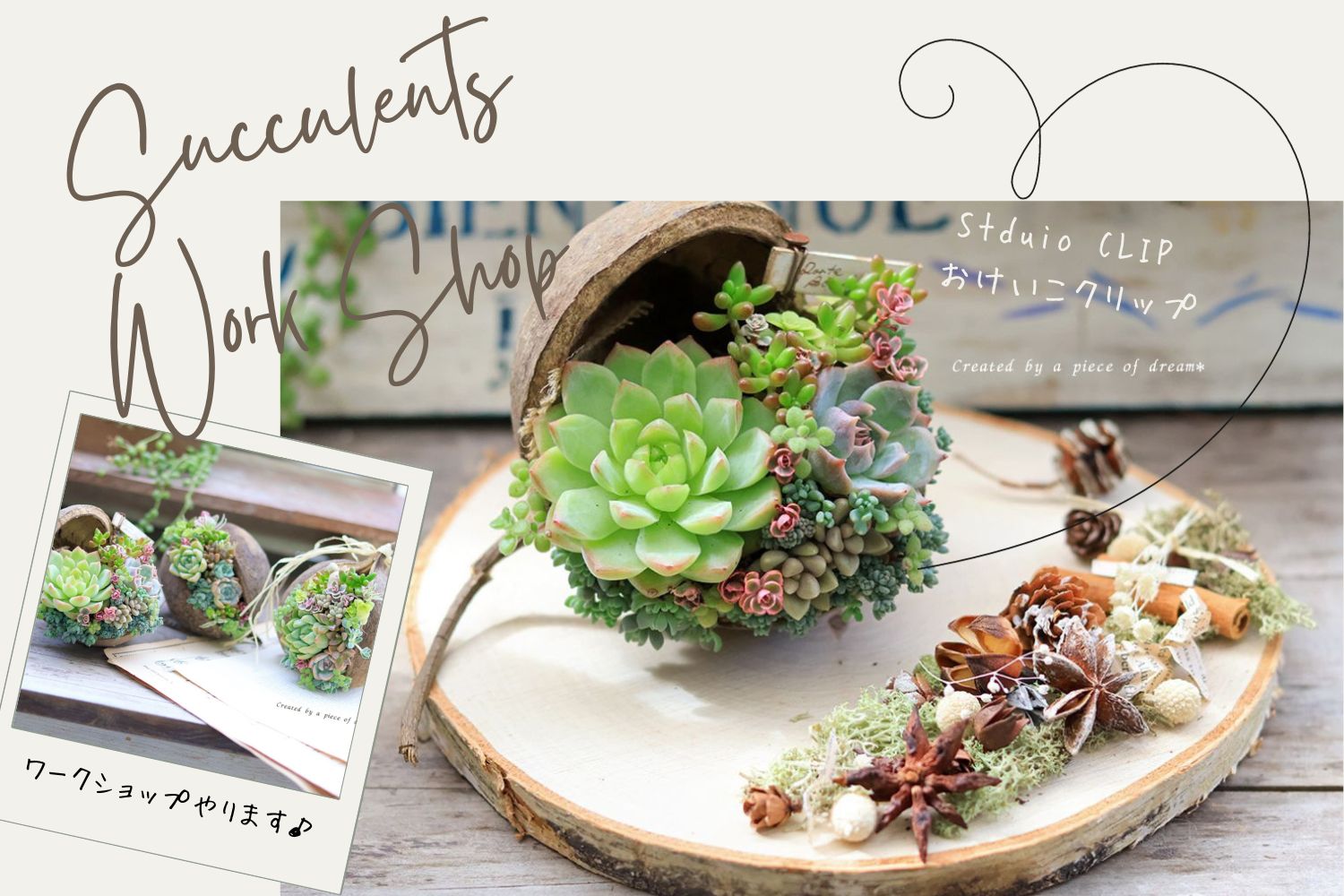 多肉WS】10/8 studio CLIPにて。ブッダナッツをつくろう!-多肉寄せ植え