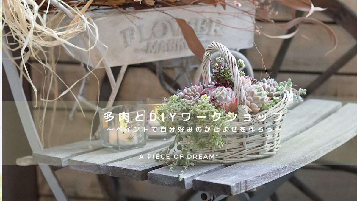 37bc3f452315f0dbf761fc96630ec9