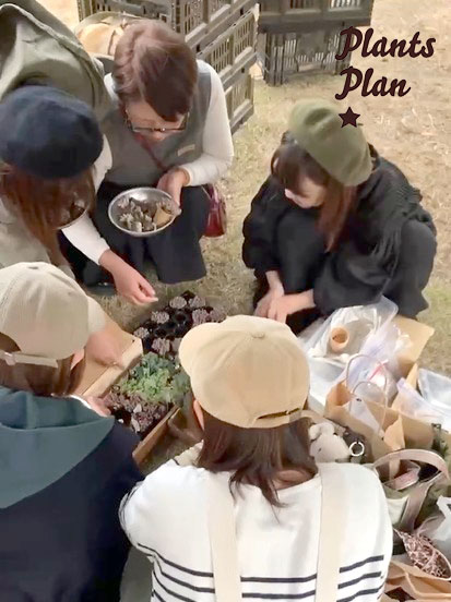 THE BOTANICAL SHOW 27 a piece of dream plants plan ぷらんぷらんとして出展、多肉ワークショップをしました。
