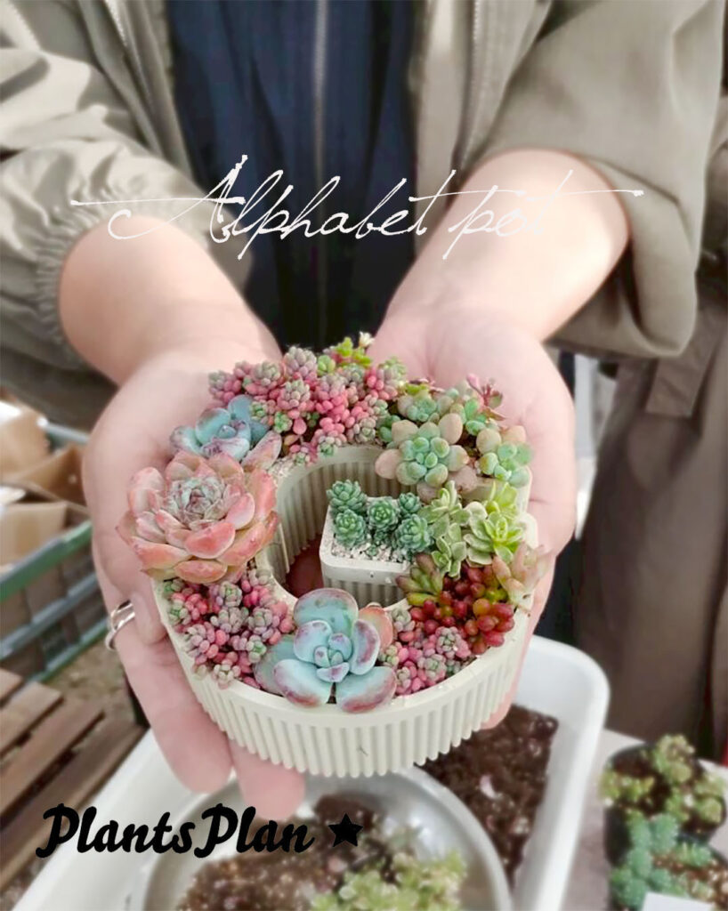 THE BOTANICAL SHOW 27 a piece of dream plants plan ぷらんぷらんとして出展、多肉ワークショップをしました。