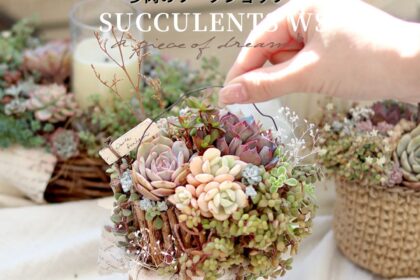 鉢からつくる多肉のワークショップ　a piece of dream*