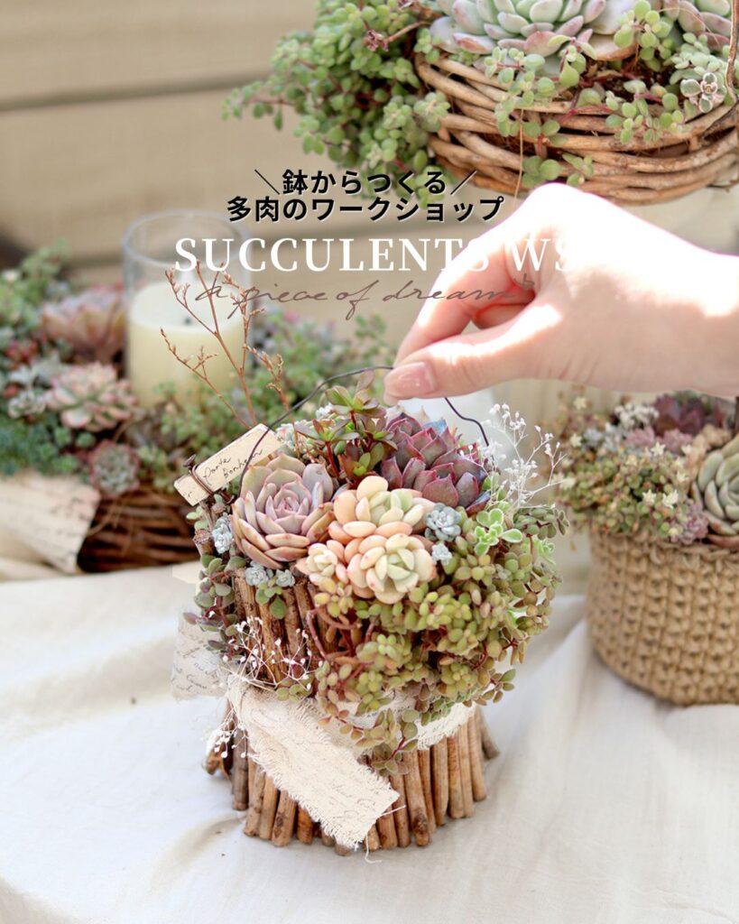 鉢からつくる多肉のワークショップ　a piece of dream*