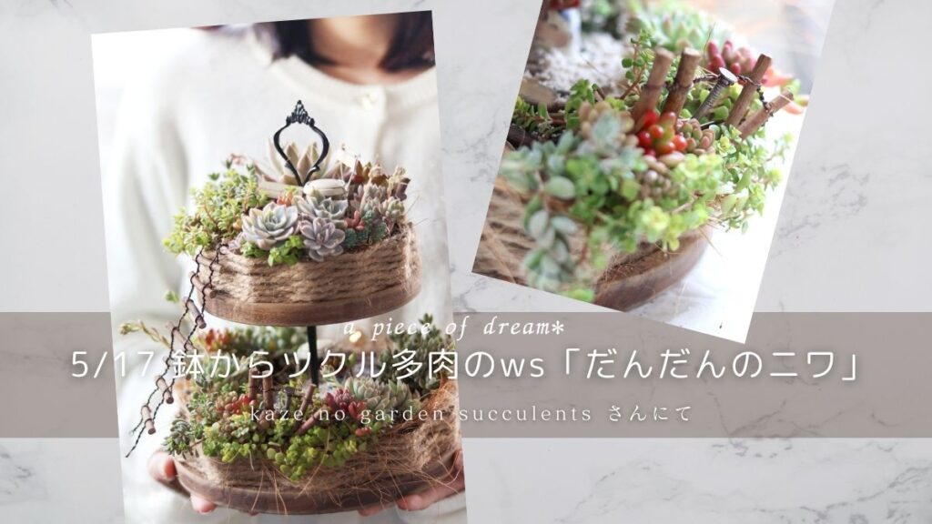 「多肉植物のワークショップ作品。階段状の鉢に寄せ植えされた箱庭風デザイン」