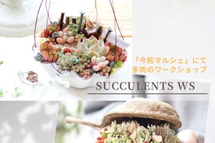 5/5今熊マルシェにて 多肉wsやります。