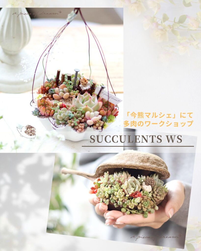 5/5今熊マルシェにて 多肉wsやります。 